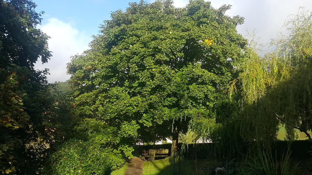 Hotel Trojane, Inspiration Of The Green Retreat ภายนอก รูปภาพ